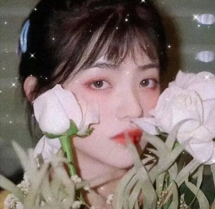 爱情不轮转